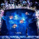 デジタルアートを観に美術館・水族館に行こう！チームラボの最新イベントを確認しておこう！